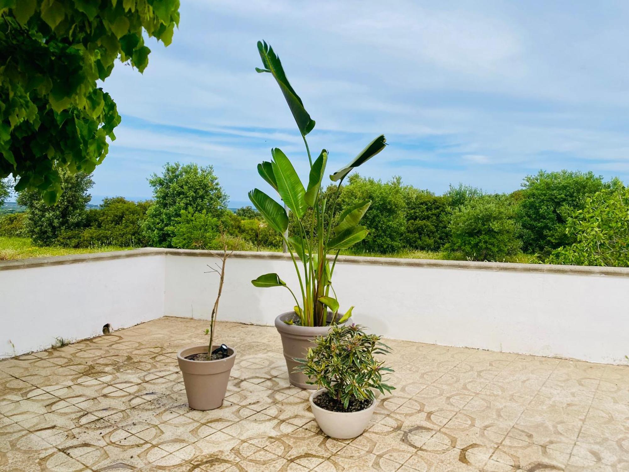 Villa Mimi Ostuni Bagian luar foto